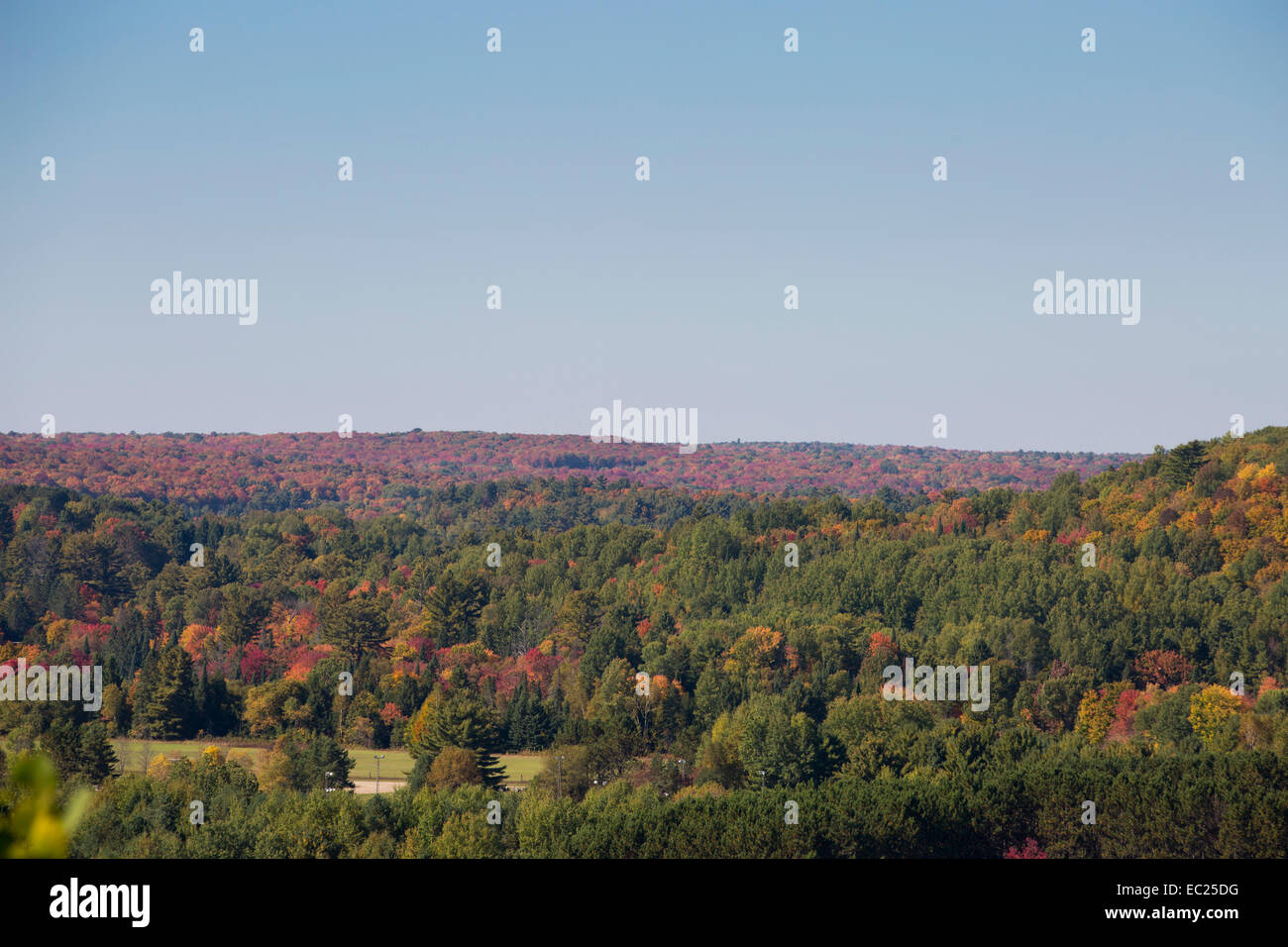 Hardwood trees hi-res stock photography and images - Alamy