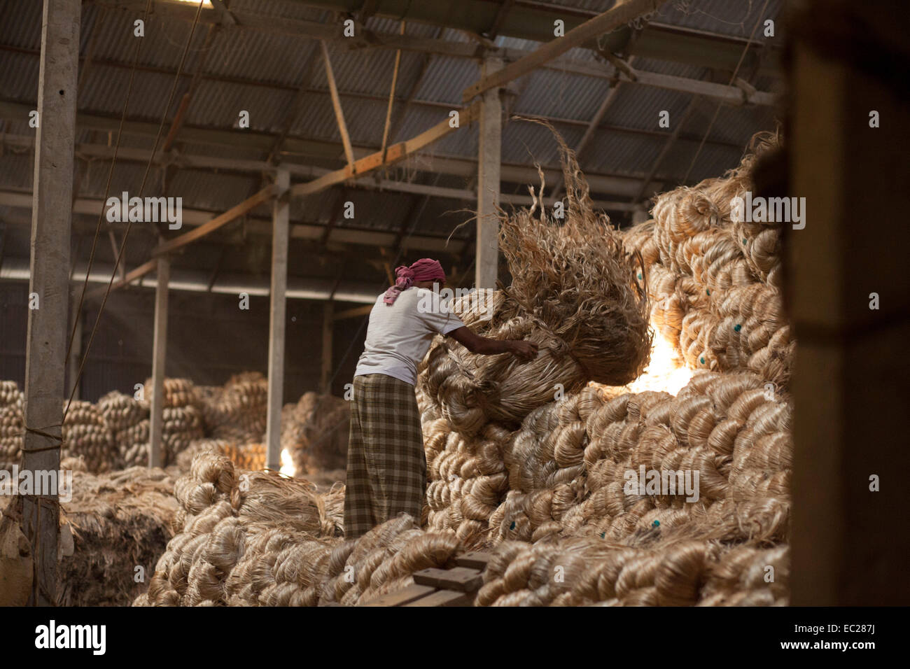 Dhaka, Bangladesh. 08th Dec, 2014. Bangladeshi labor working inside jute godown in Munshigonj outskirts of Dhaka. Bangladesh is the world's largest producer of jute, a fibrous substance used in making burlap, sacks, mats, rope and twine, and carpet backing. Jute is a vital sector from economical, agricultural, industrial, and commercial point of view in Bangladesh. Once upon a time jute was called the ‘Golden Fibre’ of Bangladesh.  and growth of this industry is in a vulnerable condition. Credit:  zakir hossain chowdhury zakir/Alamy Live News Stock Photo