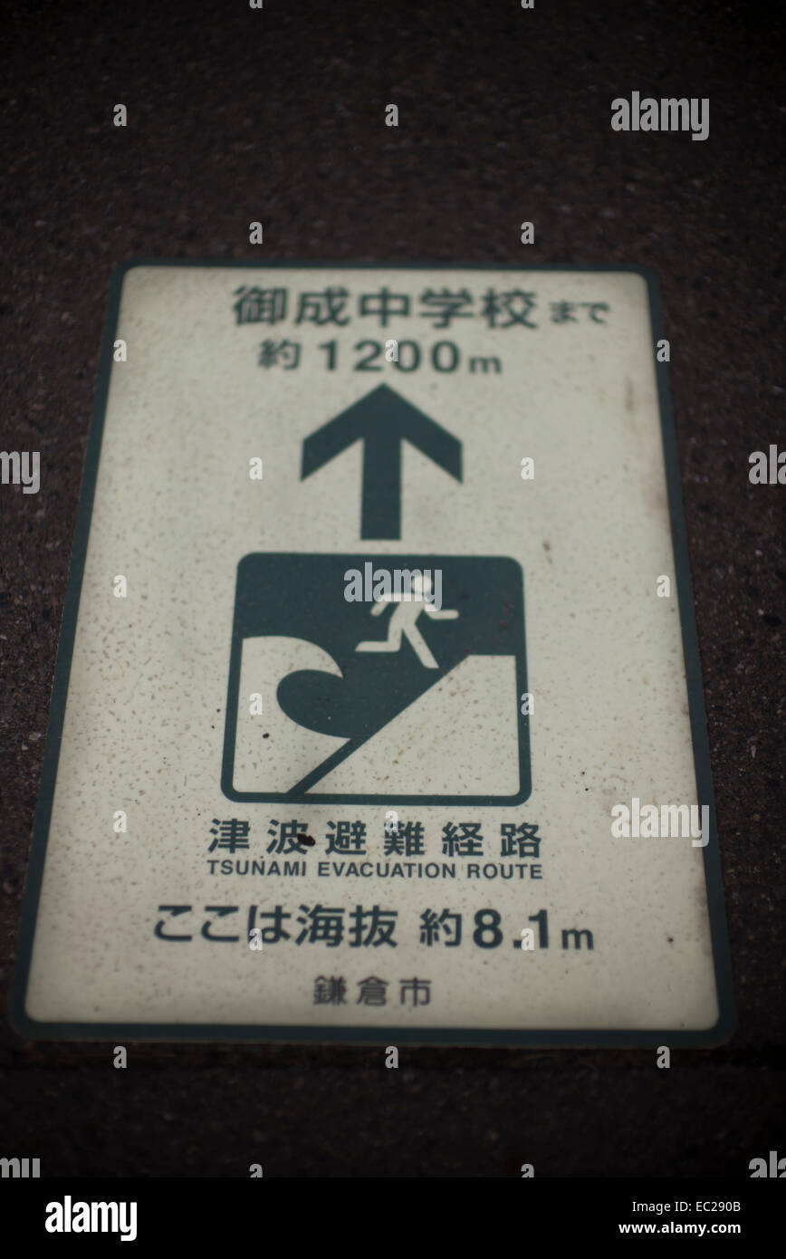Japan tsunami evacuation