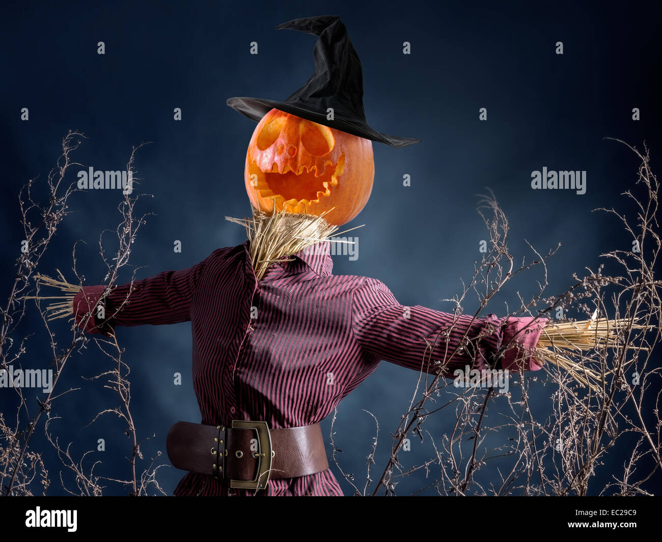 Pumpkin head scarecrow hires stock photography and images Alamy