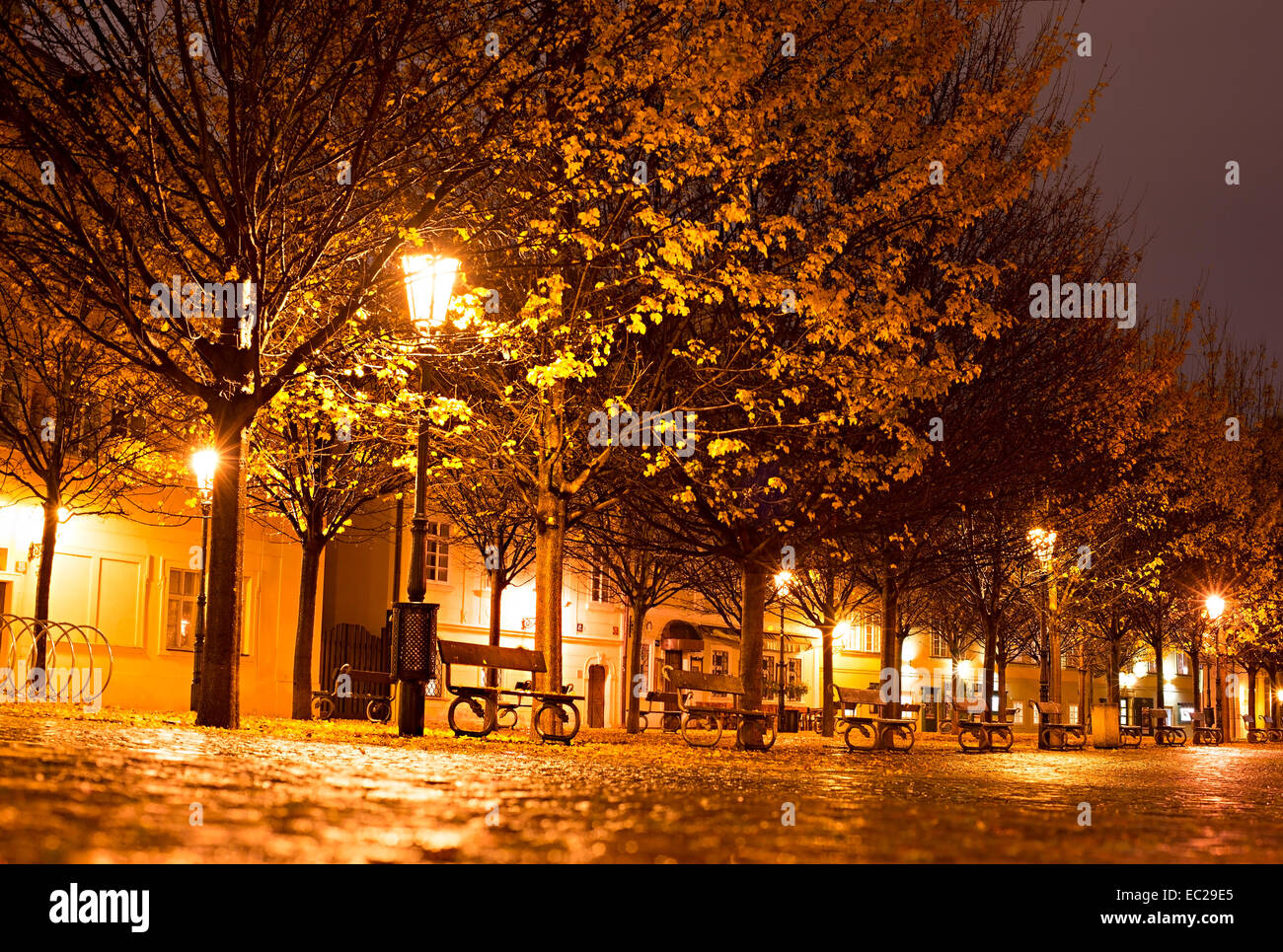 Autumn park in Old Town of Prague at night Stock Photo