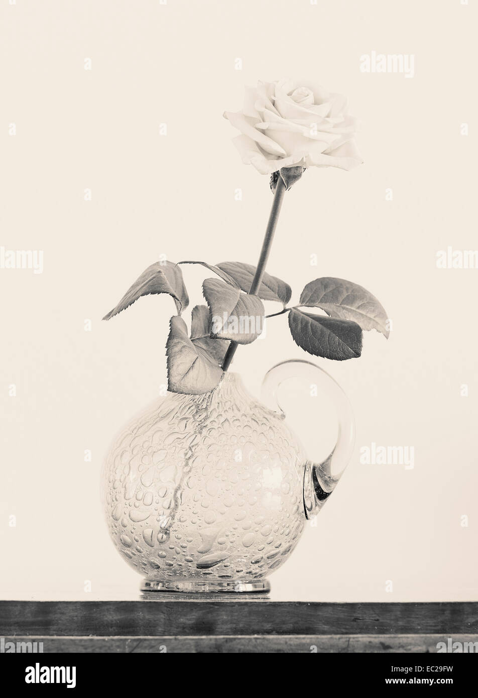 Still life with rose in glass vase Stock Photo - Alamy