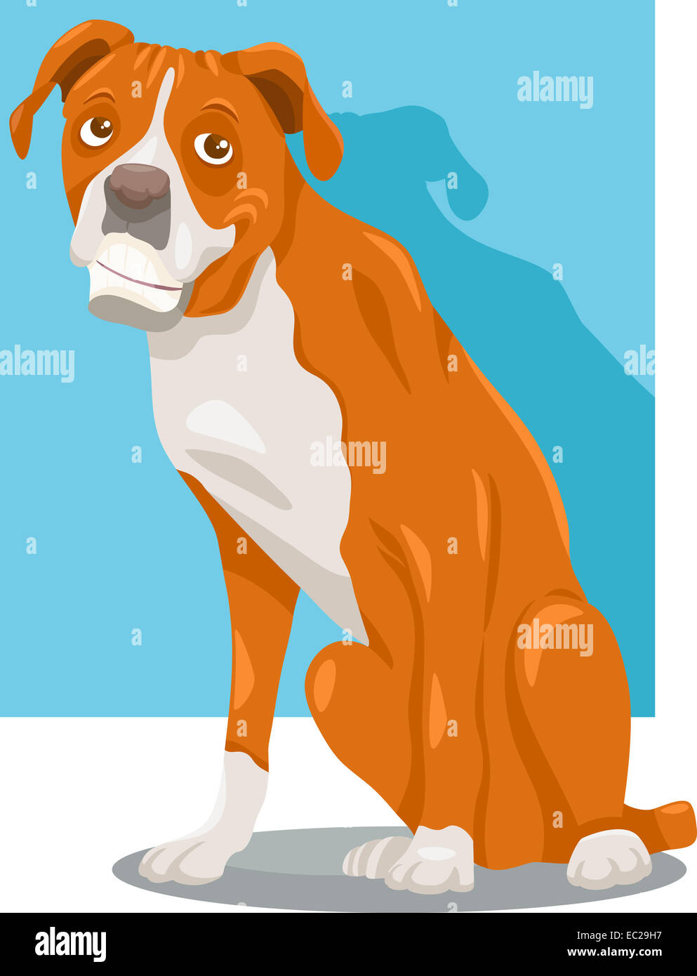 Cartoon Illustration of Funny Purebred Boxer Dog Stock Photo - Alamy