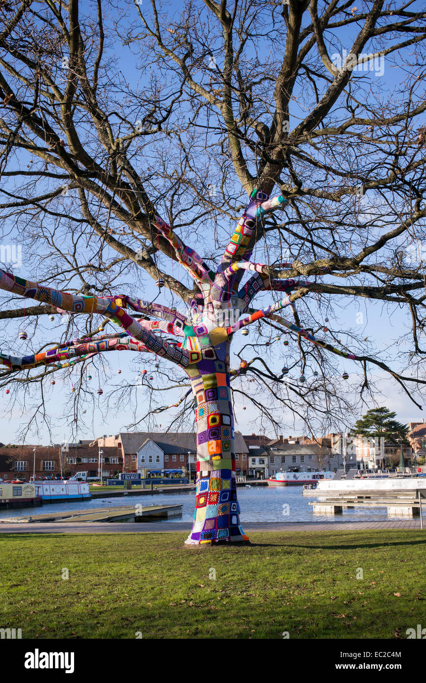 Patchwork knitted sleeve covering an oak tree in winter in Stratford Upon Avon, Warwickshire, England Stock Photo