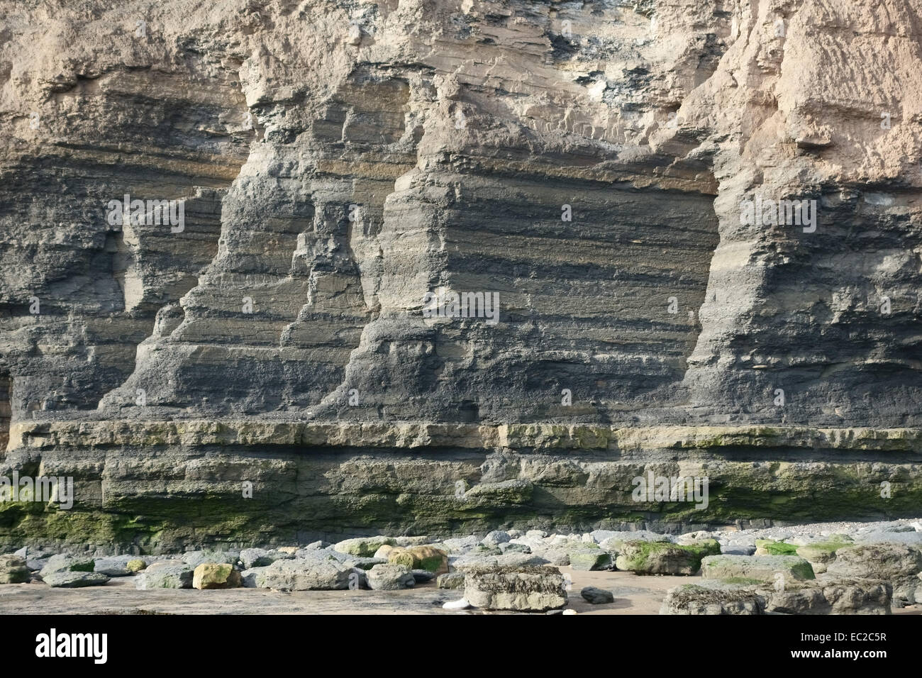 Fossil bearing sedimentary rock strata forming the cliffs at  Robin Hood's Bay, a  coastal bay with a Jurassic cliff coastline, Stock Photo