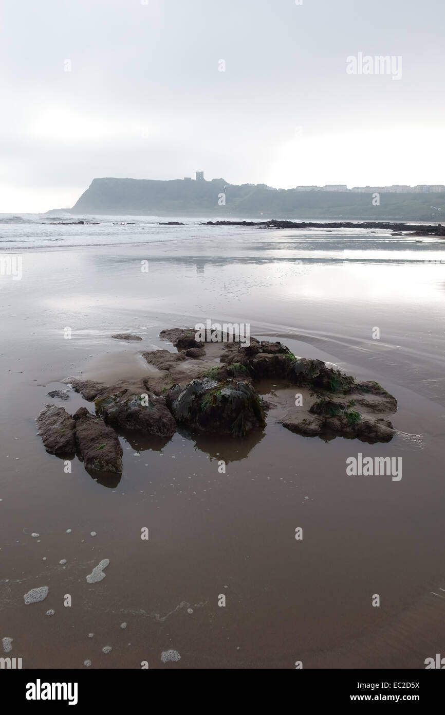 Low tide and a large expanse of sand at North Bay at Scarborough on the north east coast of North Yorkshire threatening sky, aut Stock Photo