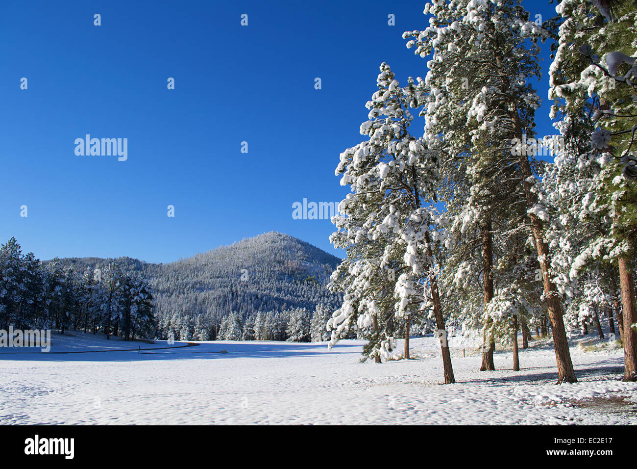 South dakota snow storm hires stock photography and images Alamy