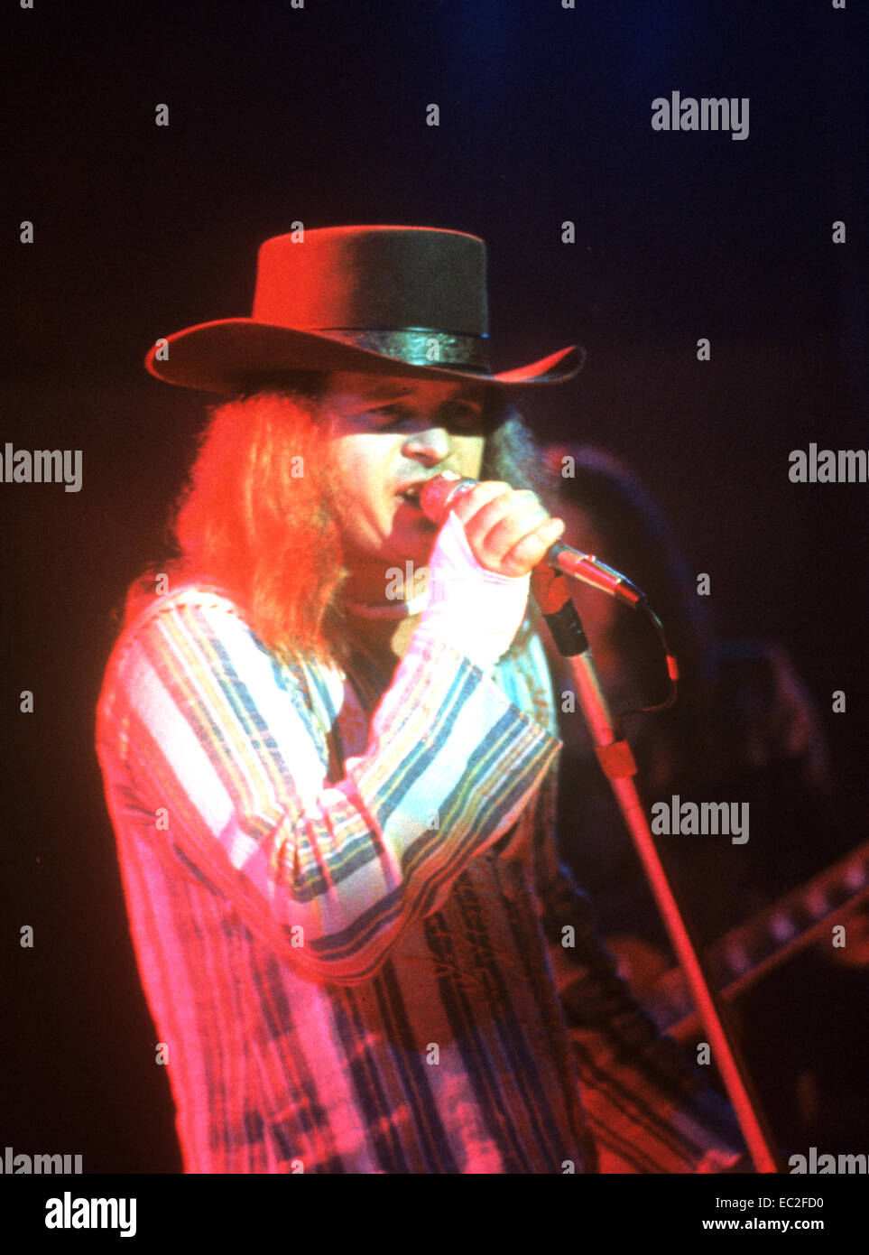 ronnie van zant hat for sale