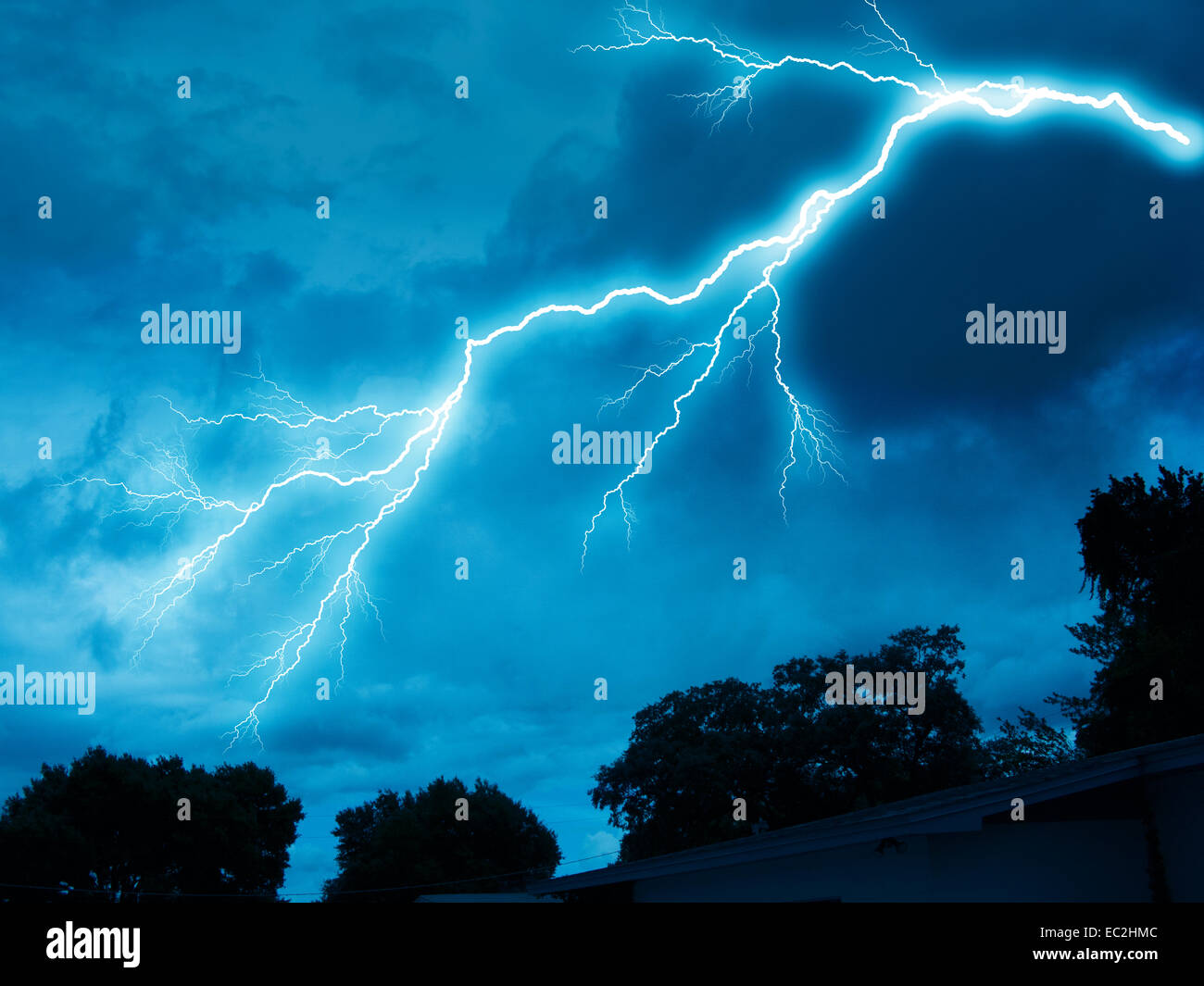 large lightning bolt above forest at night Stock Photo