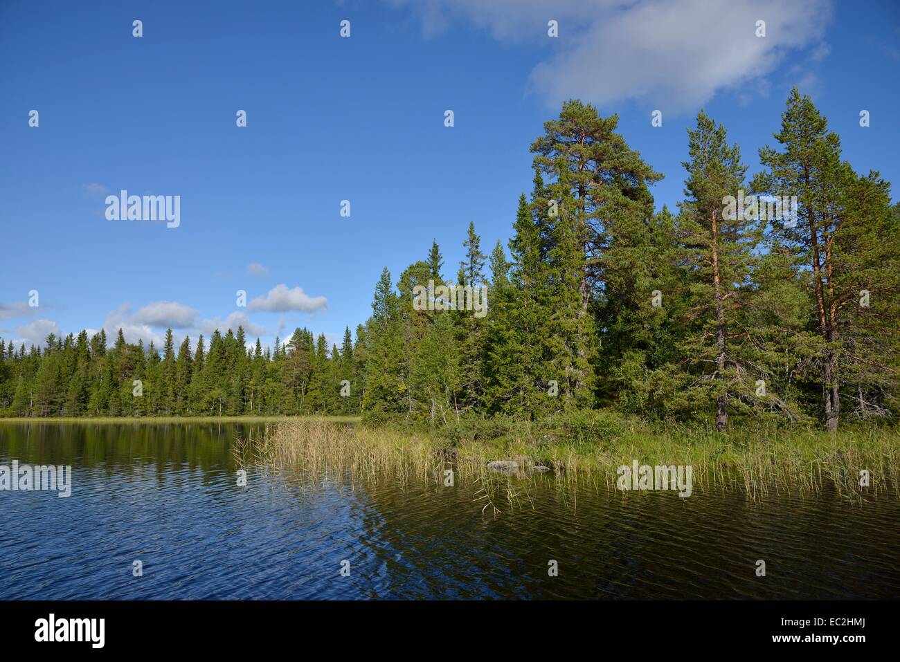 Lake Ojarn, Strömsund, Jämtland, Sweden Stock Photo - Alamy