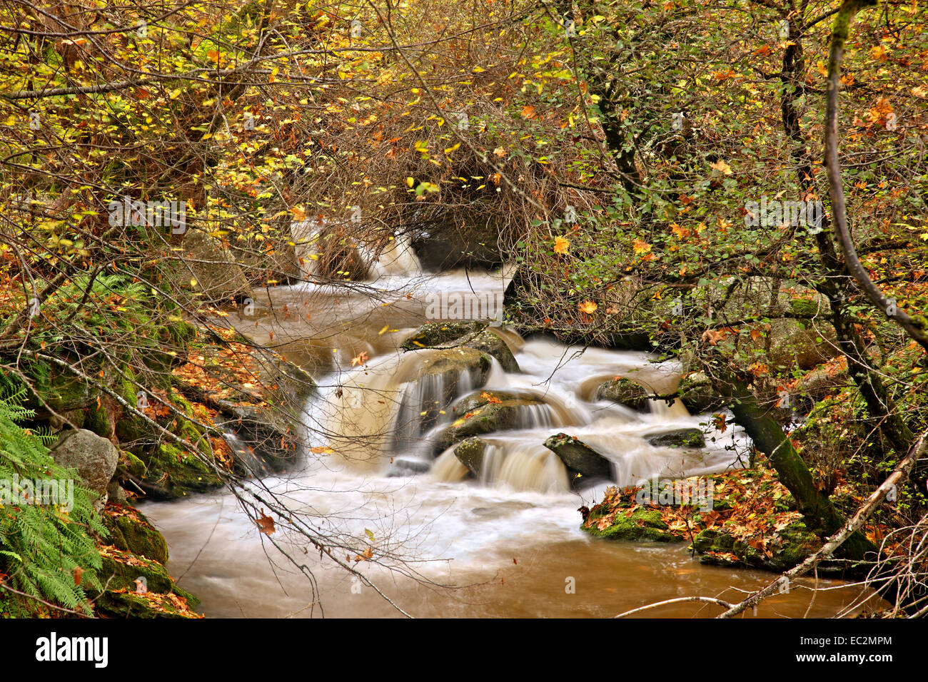 Aisonas river,close to Skoteina village, Pieria mountains, Pieria, Macedonia, Greece. Stock Photo