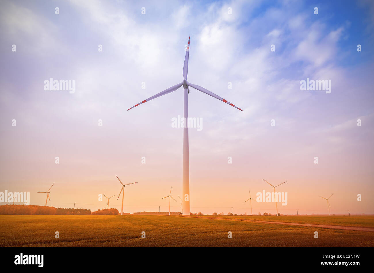 Windmills on field abstract colors filtered. Stock Photo