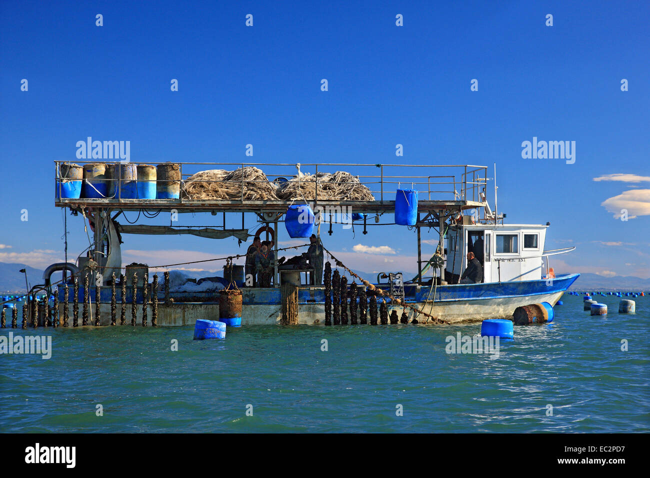 Mussel cultivators close to Makrygialos village, Pieria, Macedonia, Greece. Stock Photo