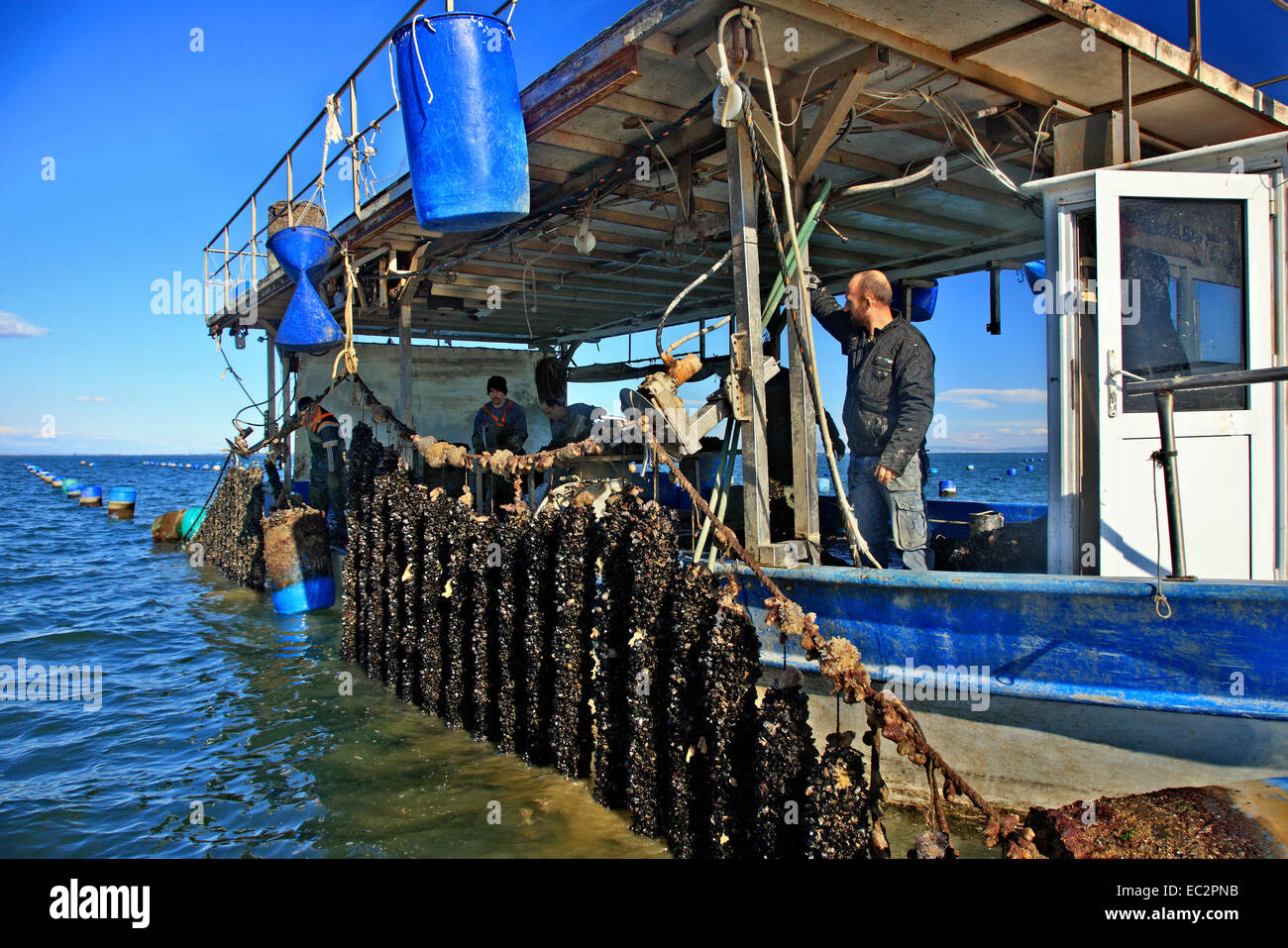 Mussel cultivator close makrygialos village hires stock photography