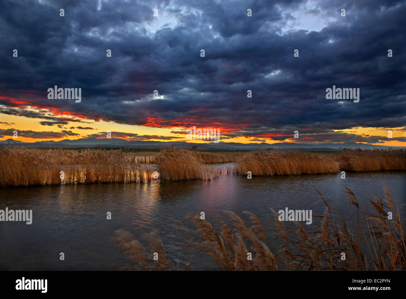Sunset  at the Delta of Aliakmonas river, Pieria - Imathia, Macedonia, Greece. Stock Photo