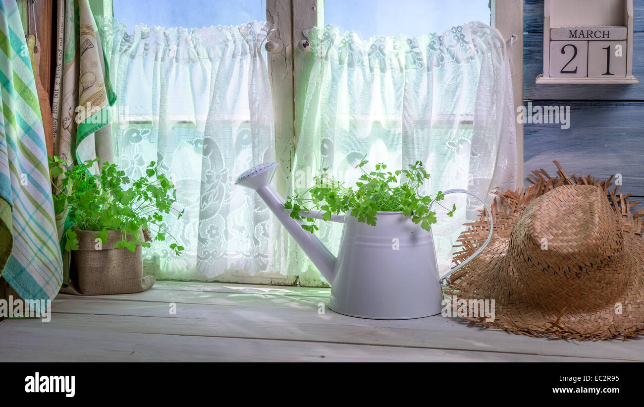 Spring kitchen in full sun Stock Photo