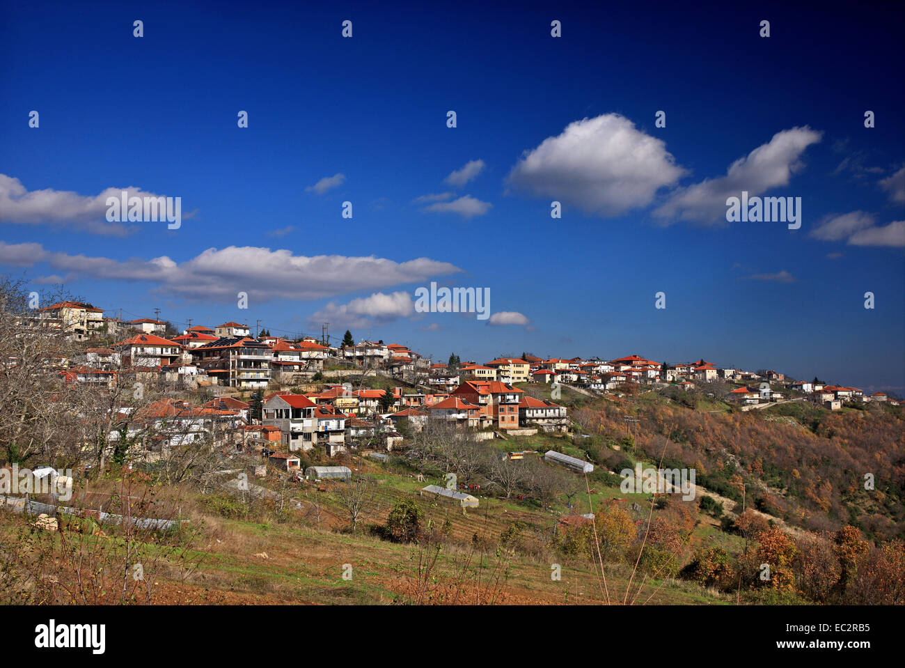 Elatochori village, popular winter resort on the Pieria mountains, Pieria, Macedonia, Greece. Stock Photo