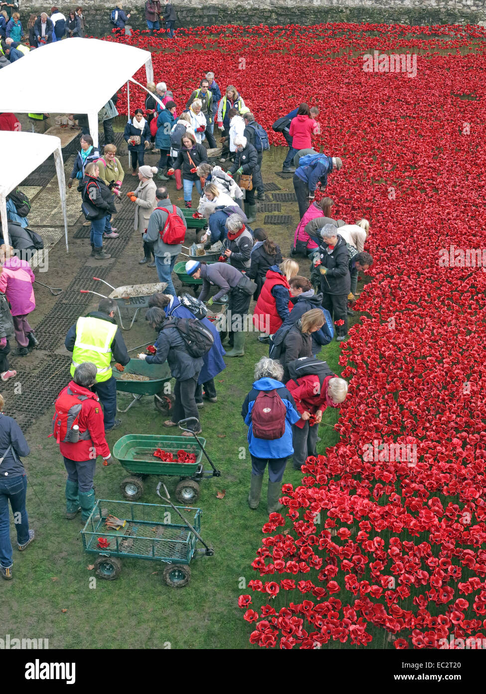 Volunteers dismantling Blood Swept Lands and Seas of Red poppies, at The Tower of London, England UK Stock Photo