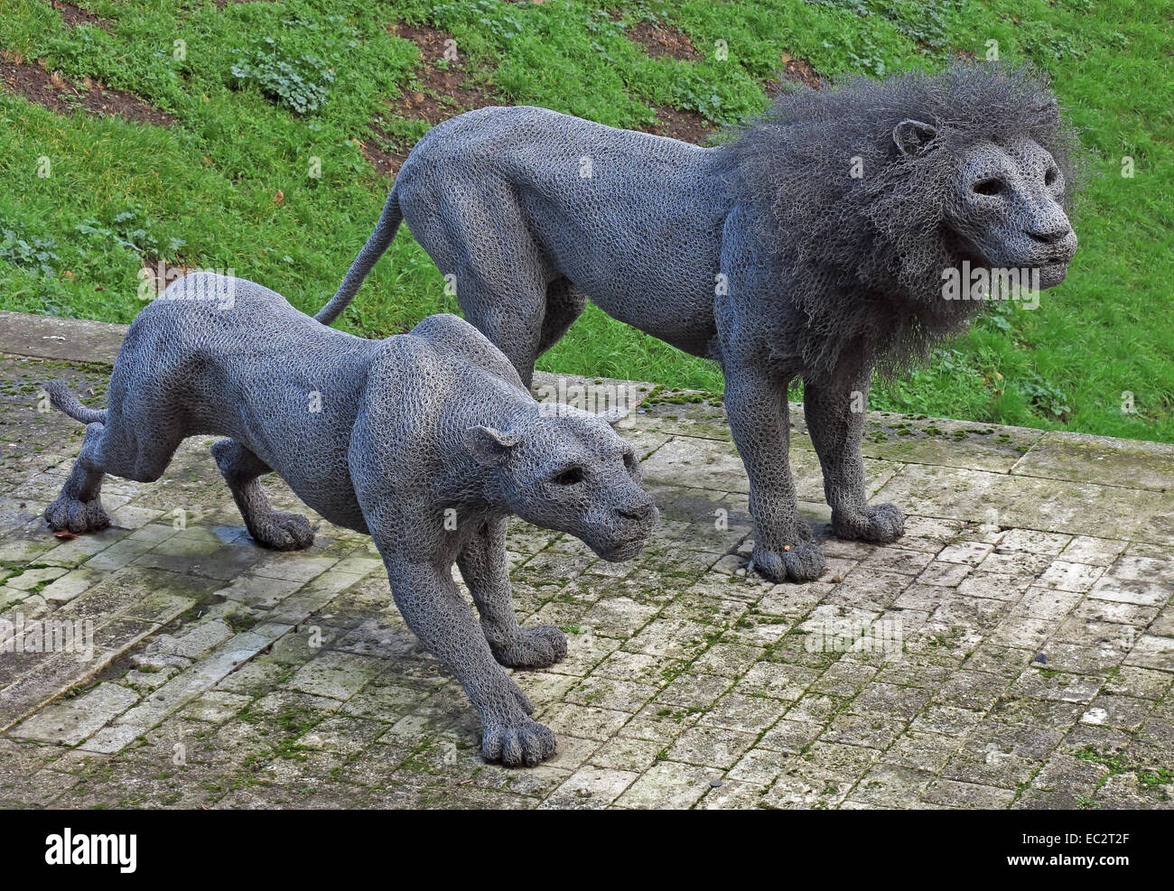 Lion Tower mesh lions, Tower of London,England,UK Stock Photo