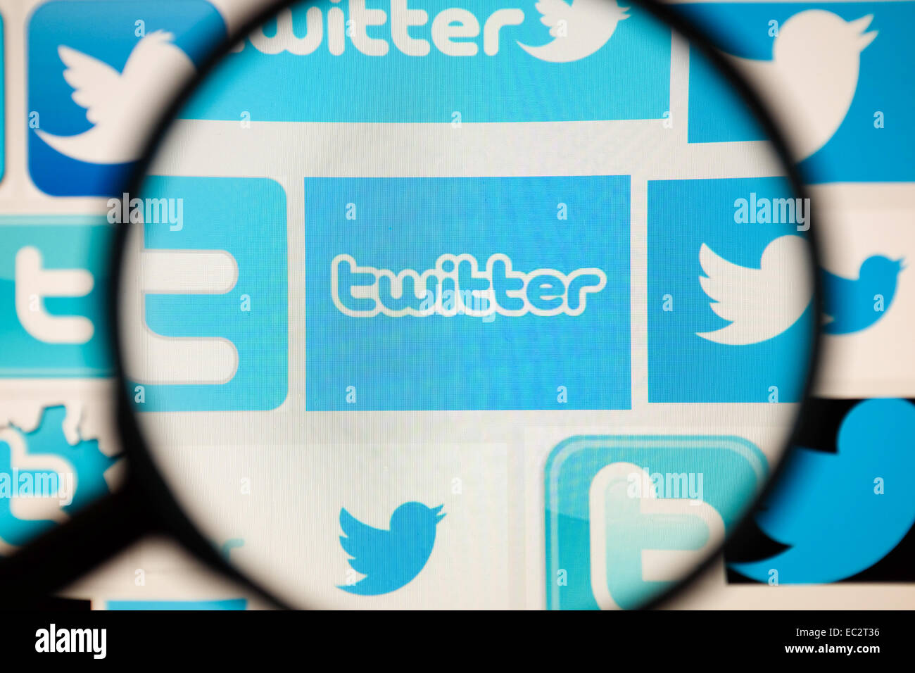 Twitter logo shown through a magnifying glass. Stock Photo