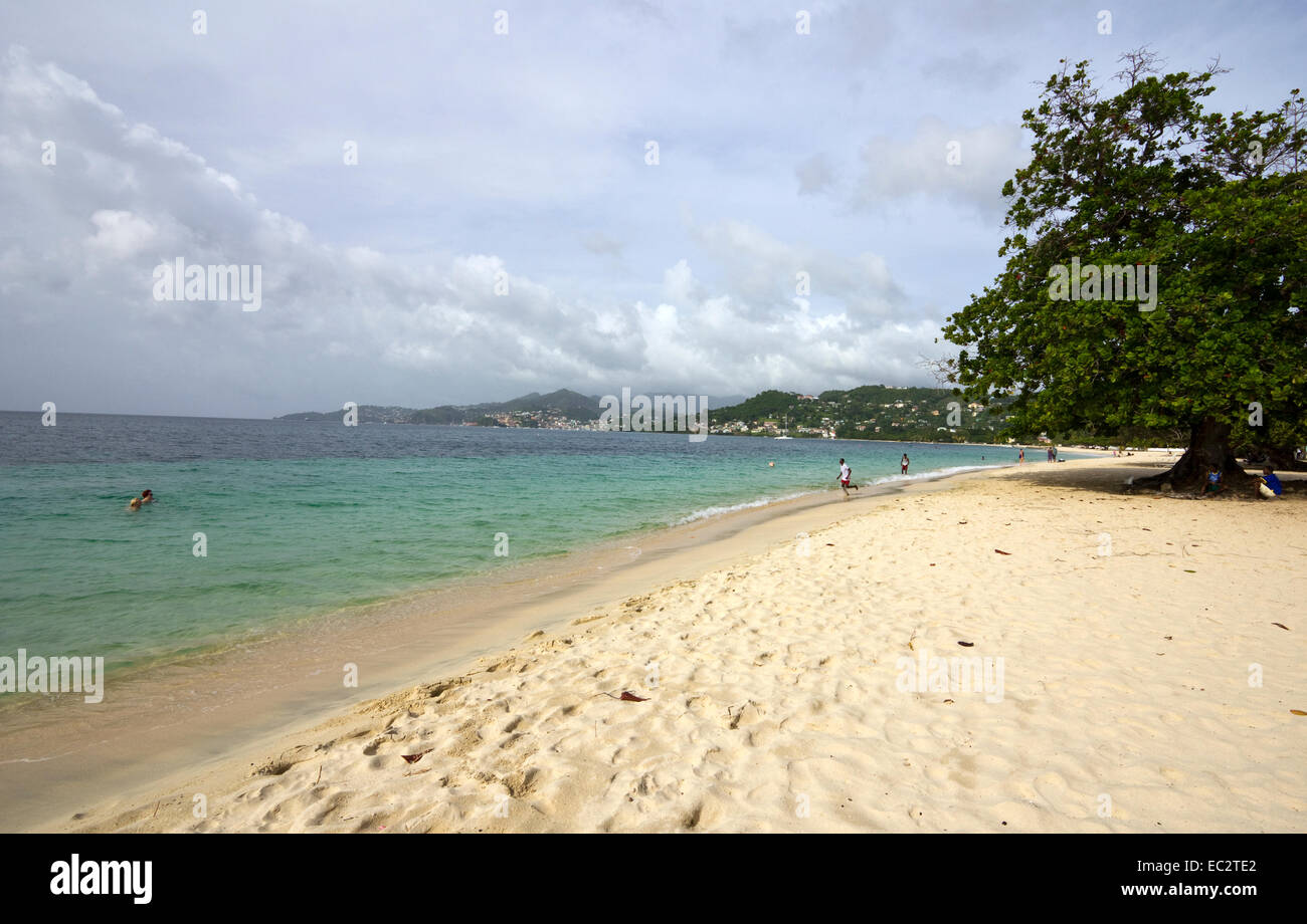 Grand Anse Beach, Grenada, Caribbean Stock Photo Alamy