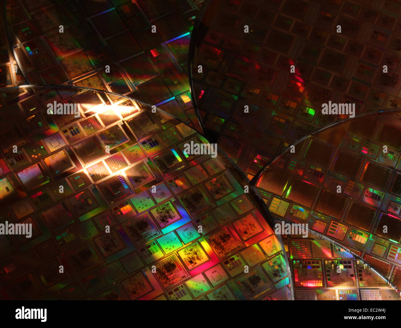 This collection of silicon wafers contain different chip designs used ...
