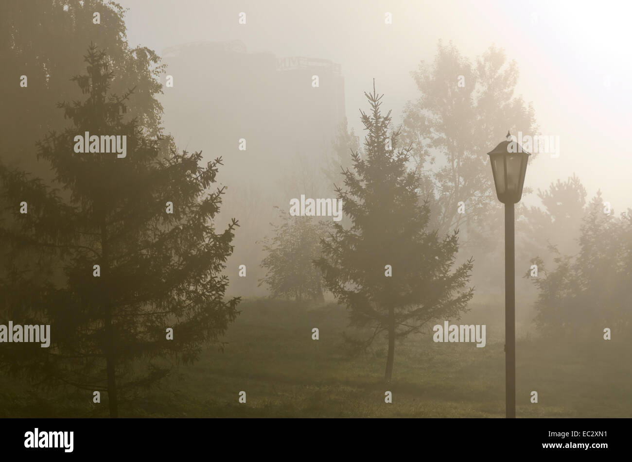 Fog above green grass and trees Stock Photo - Alamy