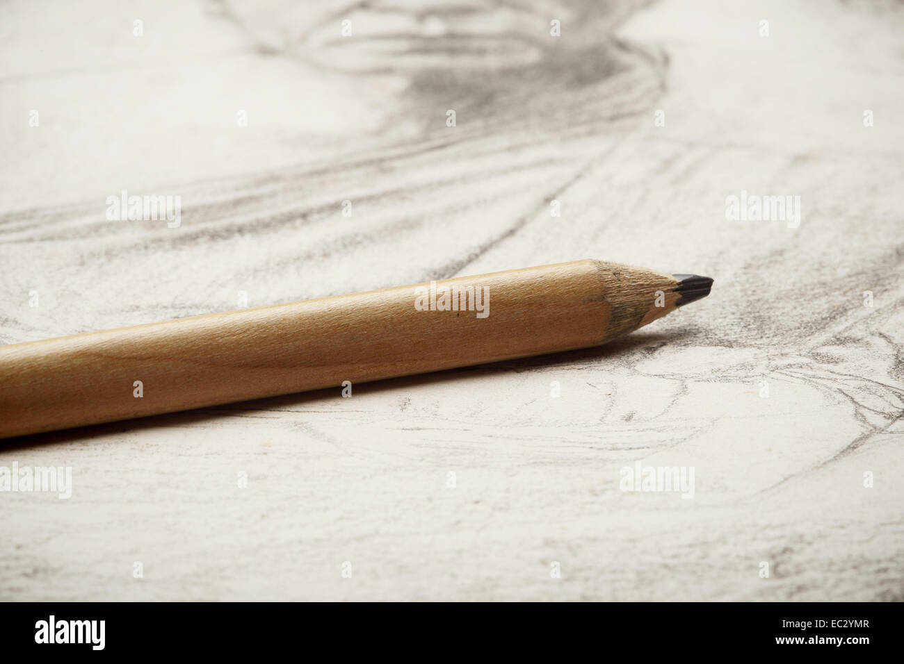 Drawing of artist by pencil on paper Stock Photo - Alamy