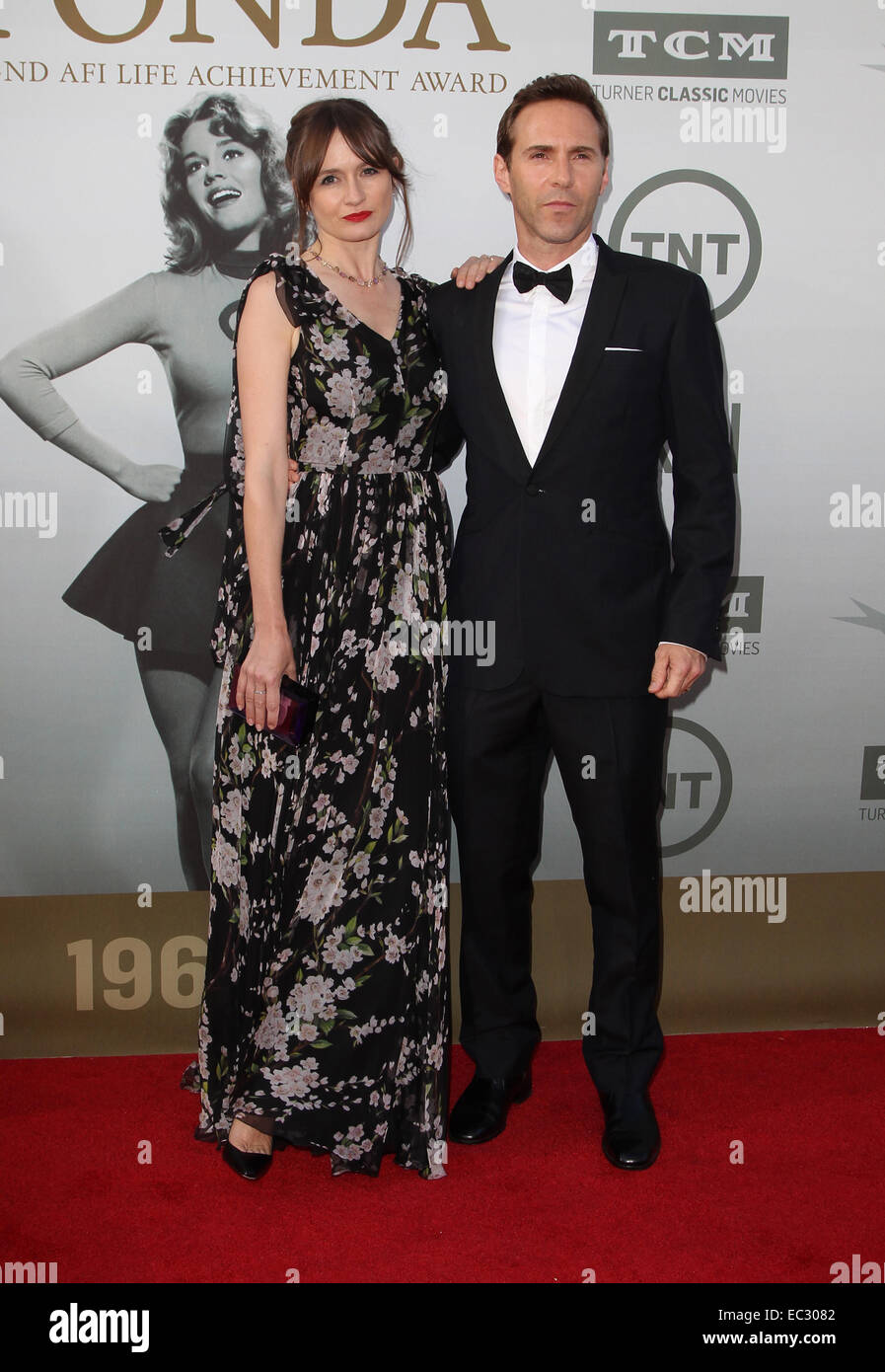 2014 AFI Life Achievement Award Gala Tribute Featuring: Emily Mortimer