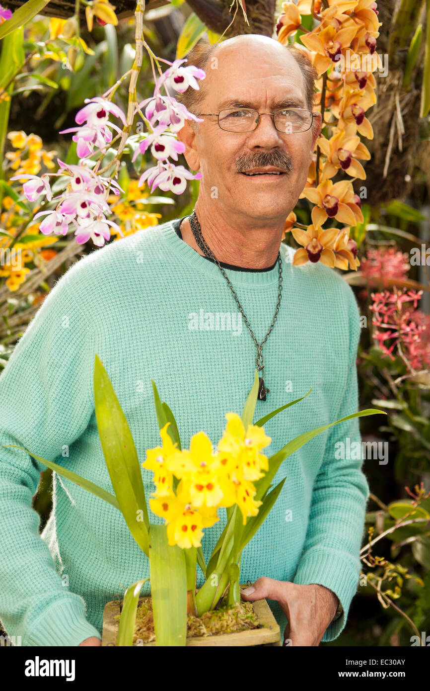 portrait of Bill Robson holding an odontoglossum Yellow Parade orchid among some of the orchids in his shade house, Santa Barbar Stock Photo