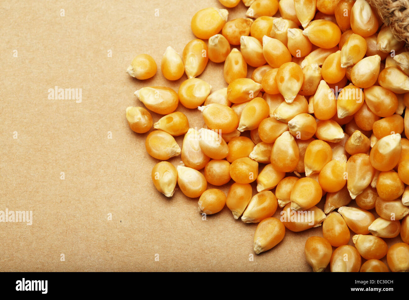 Corn kernels arranged as the background Stock Photo - Alamy