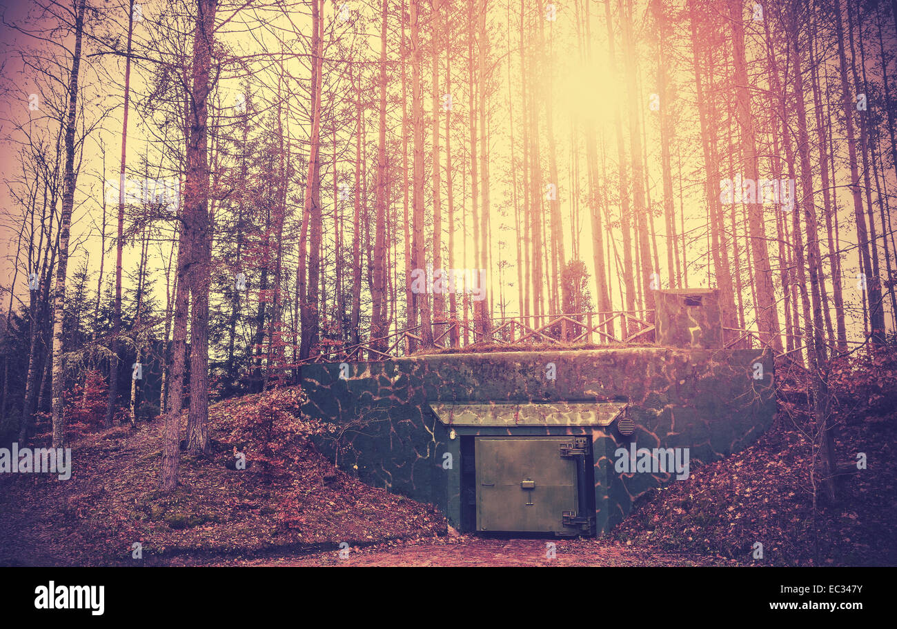 Scary bunker hidden in a forest with surreal colors. Stock Photo
