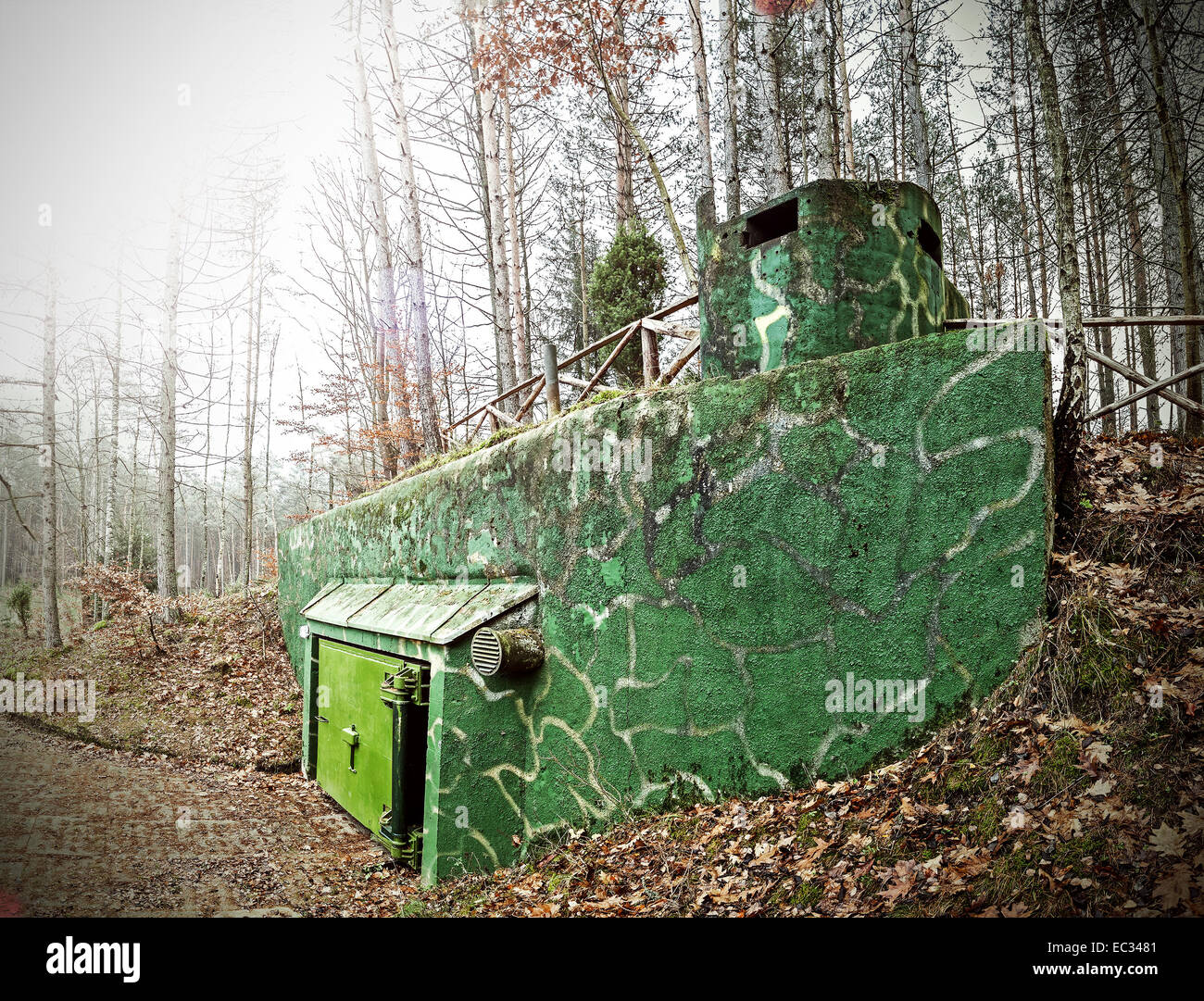 Retro filtered picture of a bunker hidden in forest. Stock Photo
