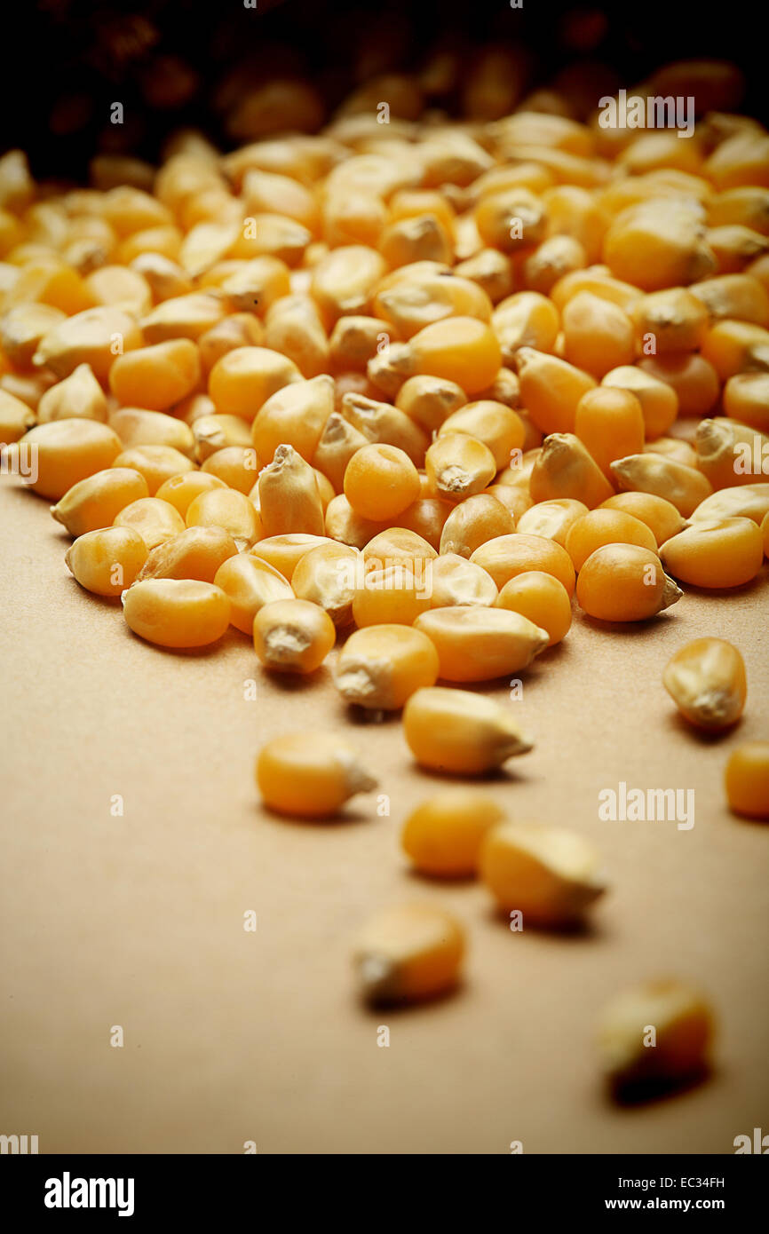 Corn kernels arranged as the background Stock Photo - Alamy