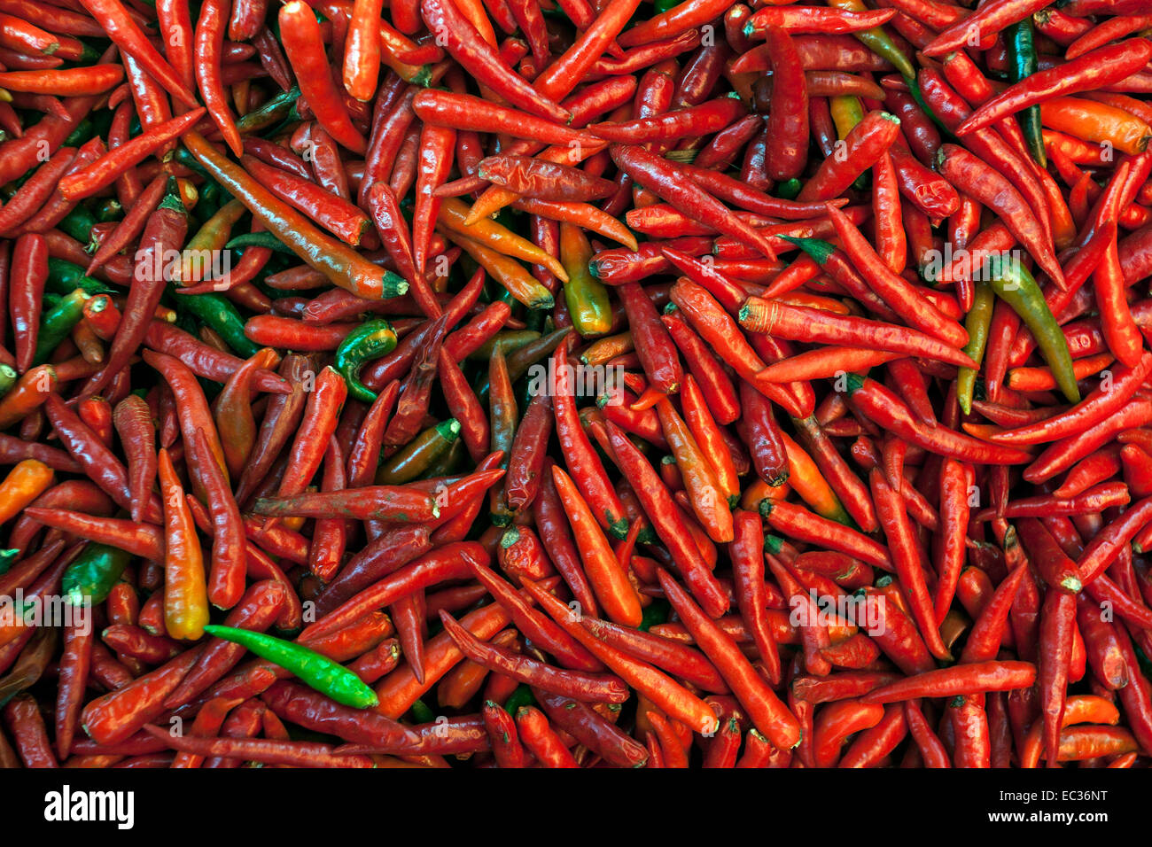 Pepperoni (Capsicum annuum), Reunion, France Stock Photo Alamy