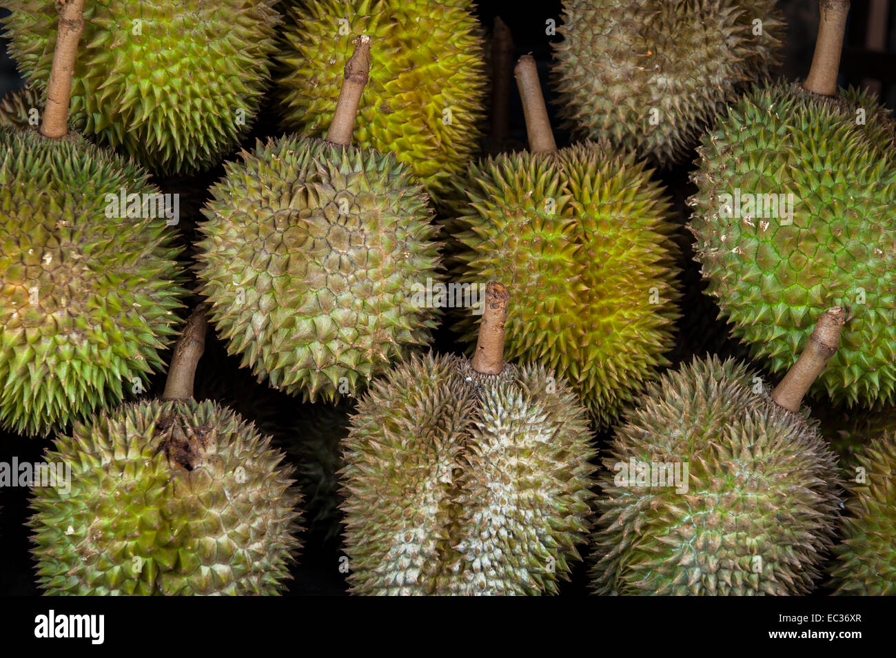 Durian fruit in market Stock Photo
