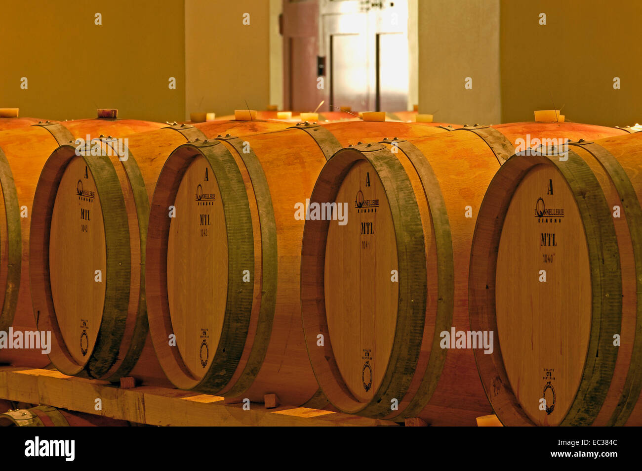 Wine barrels, Chianti, Castello di Brolio cellar, Brolio Castle Cellar