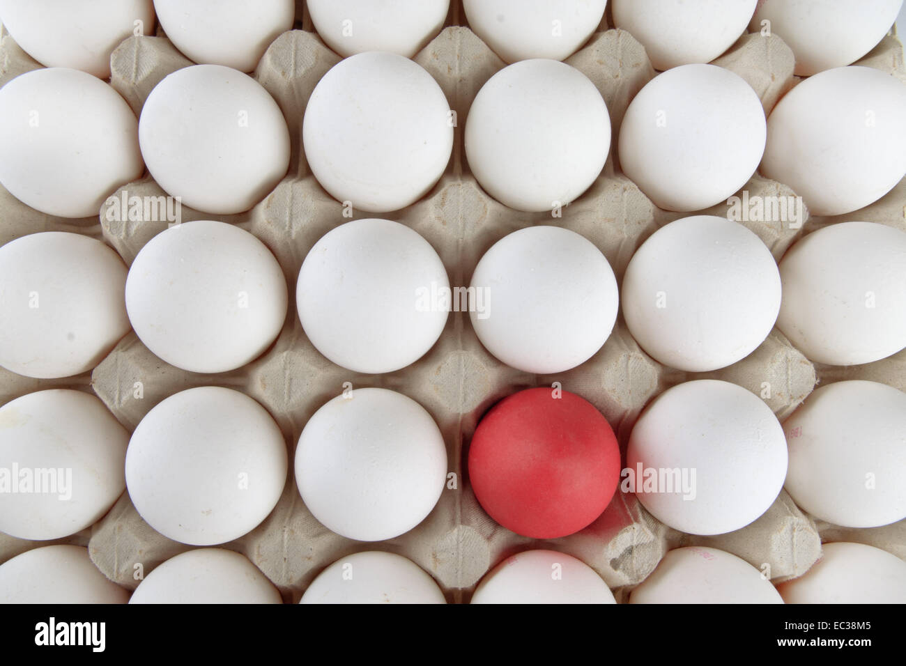 A red egg in a grid of white ones. Stock Photo