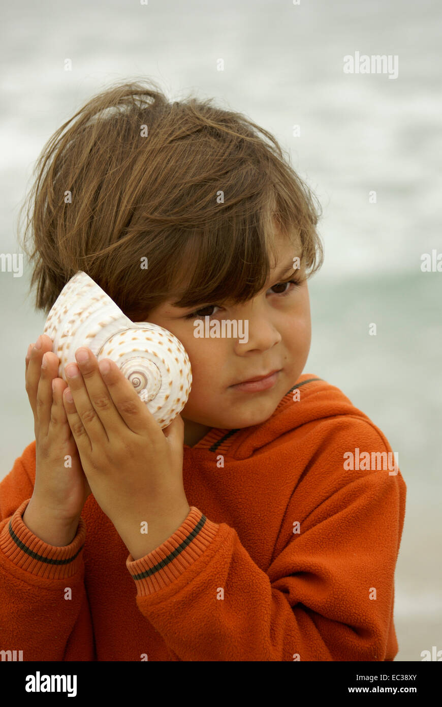 Boy Holding Shell on Ear and is Listening Stock Photo - Alamy