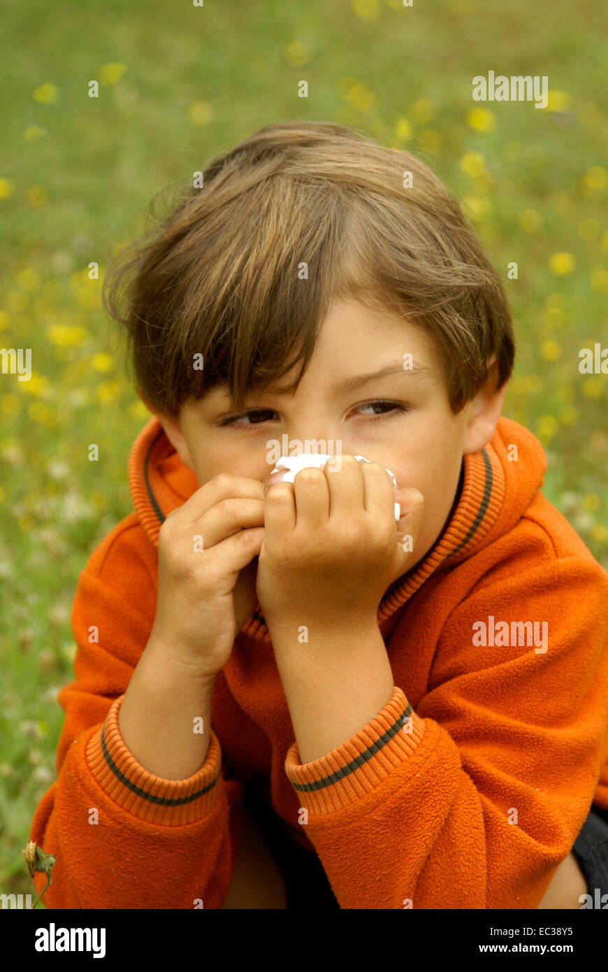 Allergic Child on Flower Meadow with Tissue Stock Photo
