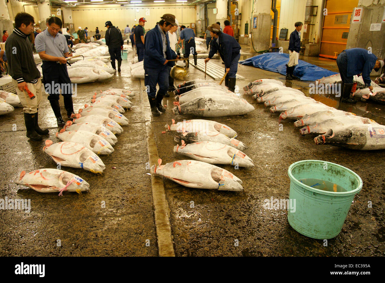 japanese fish market Stock Photo Alamy
