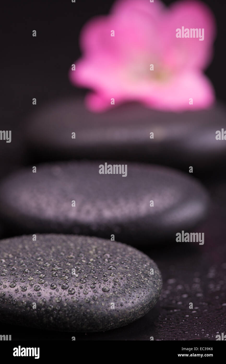 Stone Petal Flower Post main image 0