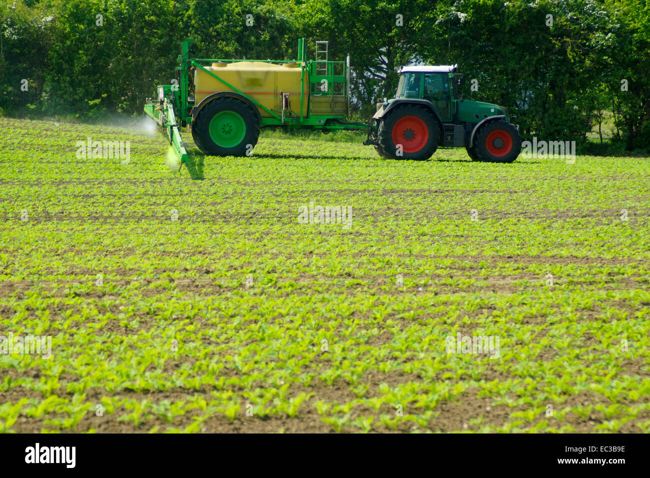tractor on the field Stock Photo - Alamy