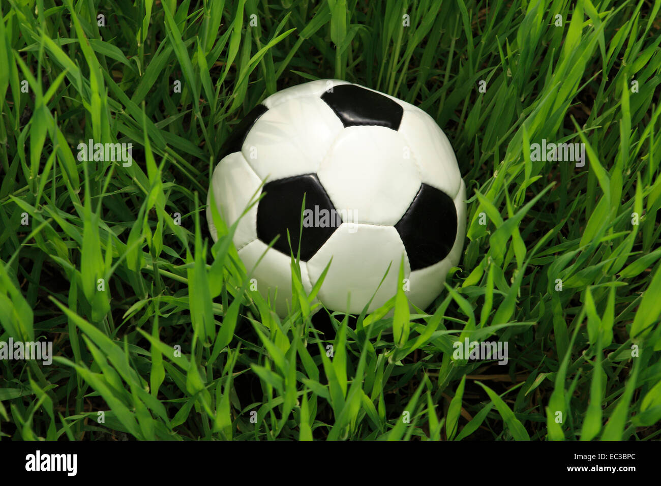 Original Leather Soccerball Stock Photo