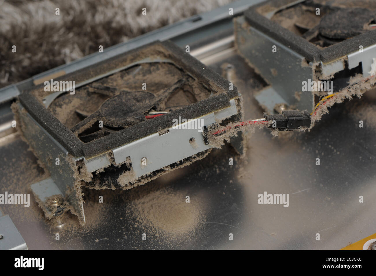 Dust accumulation inside electronic equipment Stock Photo Alamy