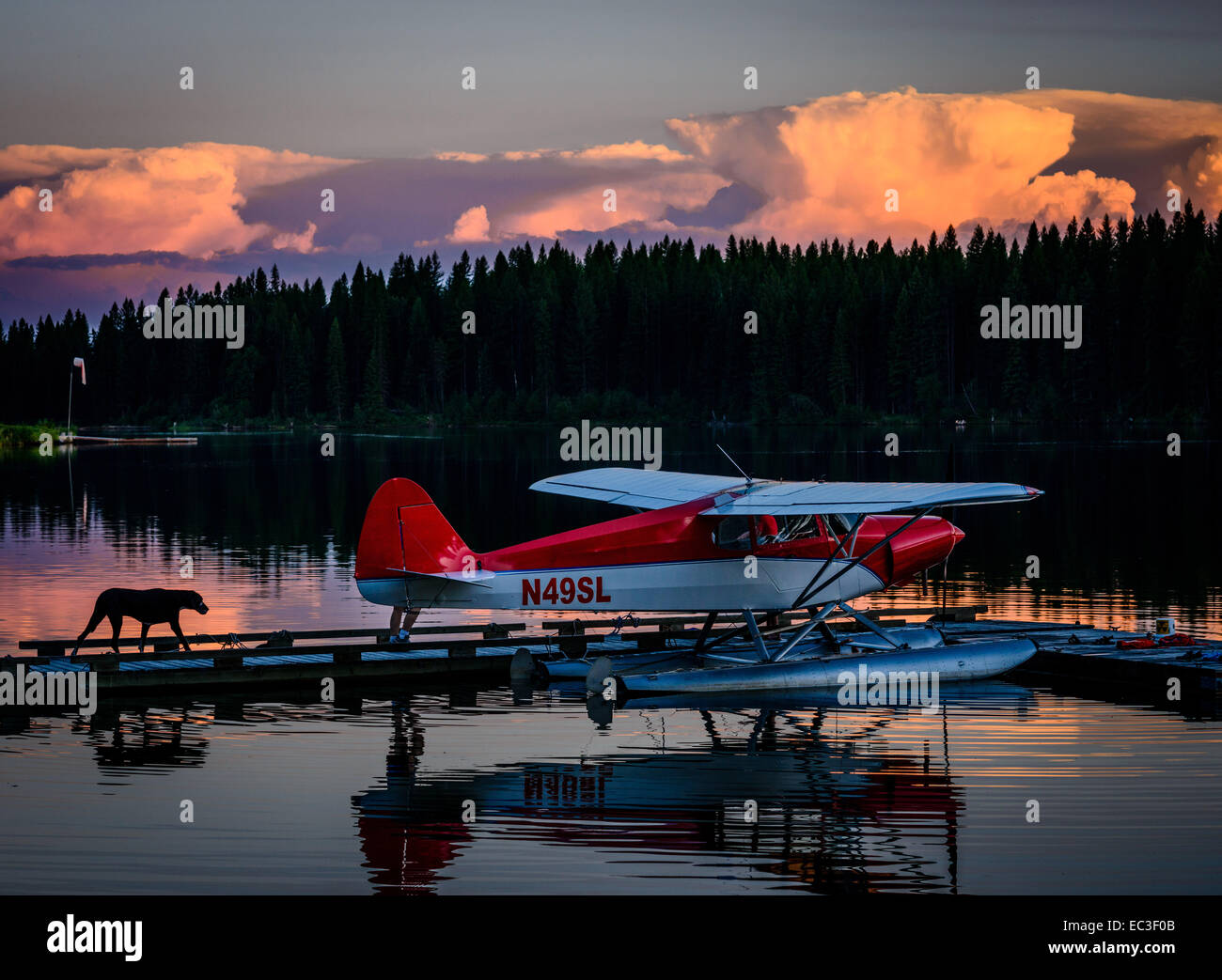 Floatplane and dog in front of thunderheads at Stillwater Lake near Whitefish, Montana. Stock Photo