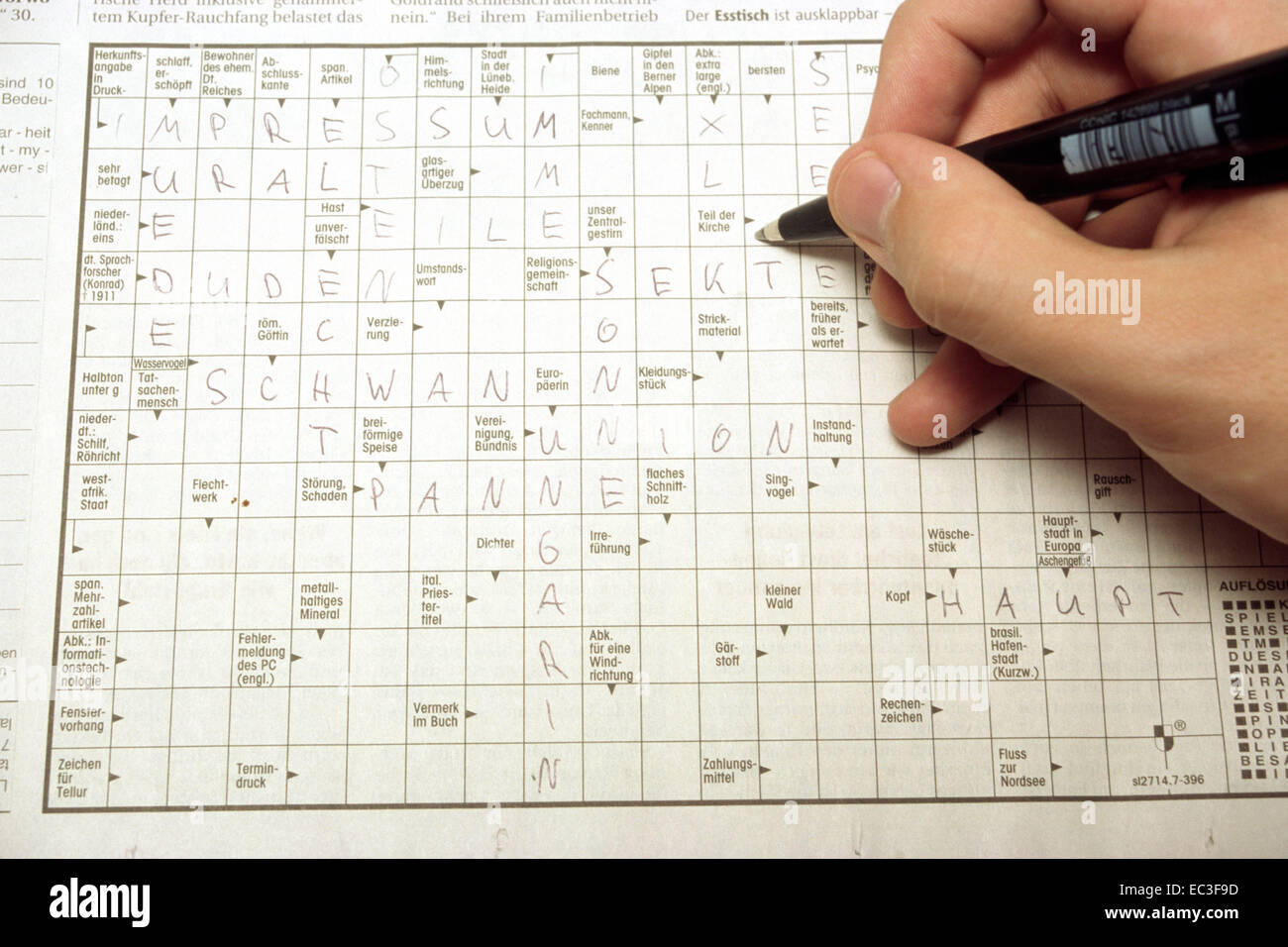 Hand with Ballpen and Crossword Puzzle Stock Photo Alamy