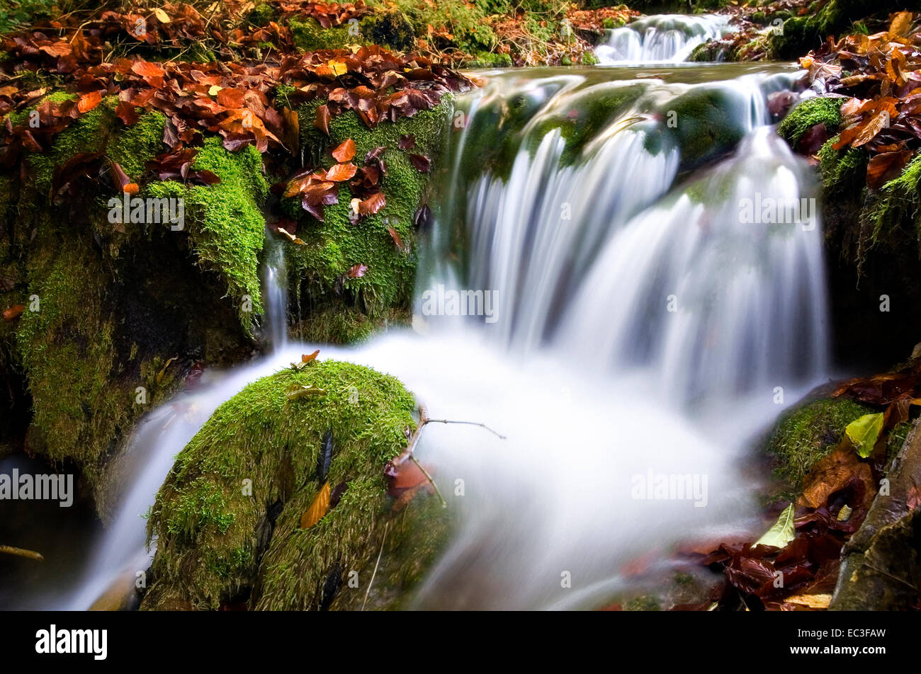 Peacefully flowing water stream hi-res stock photography and images - Alamy