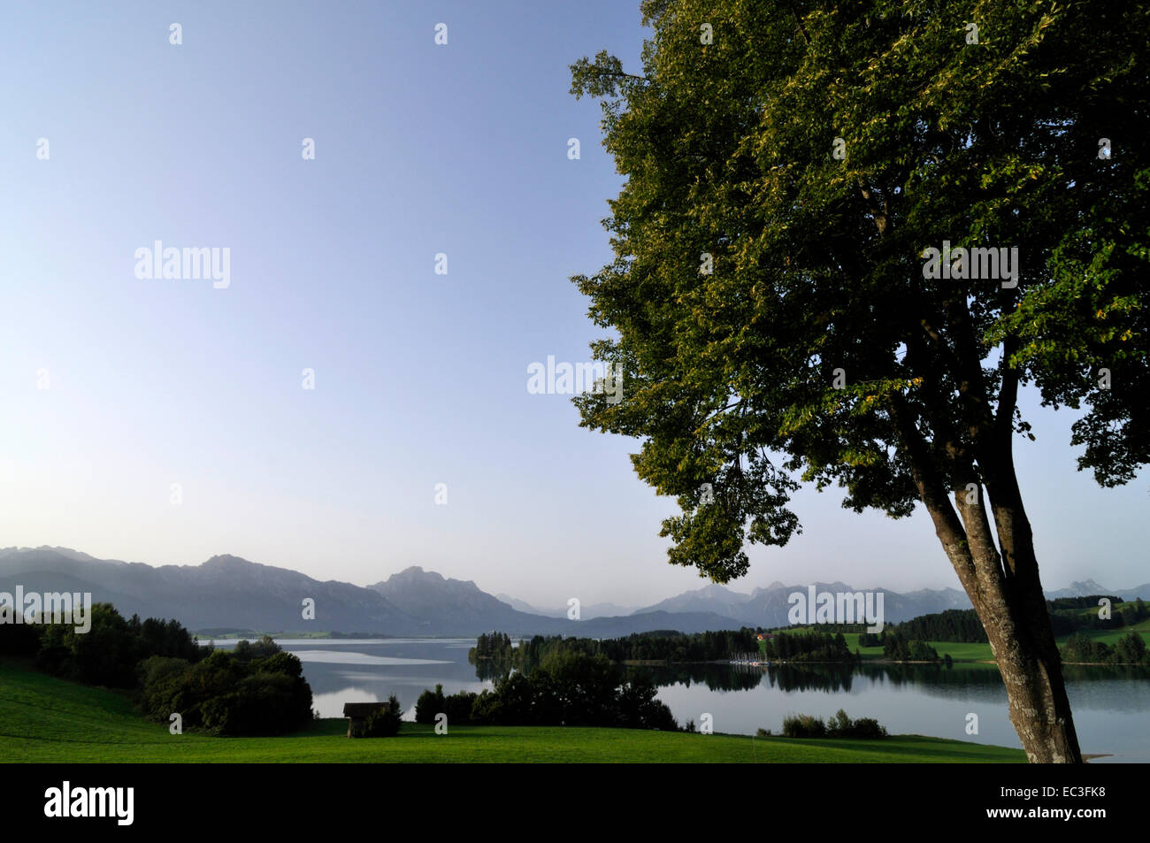 Allgäu, Forggensee, Bavaria, Germany Stock Photo - Alamy