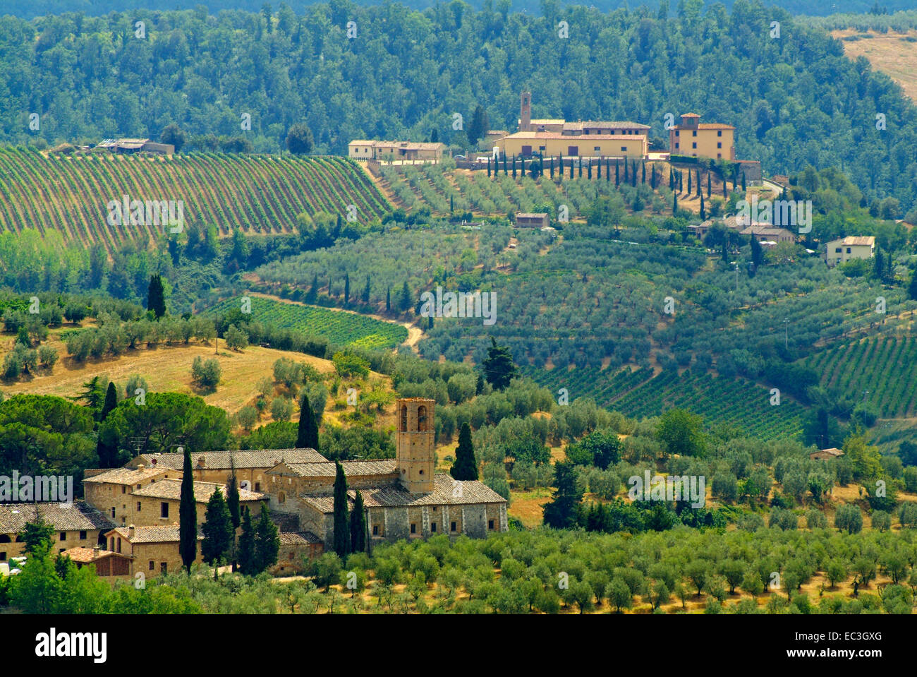 Landscape with Houses, Tuscany Stock Photo - Alamy
